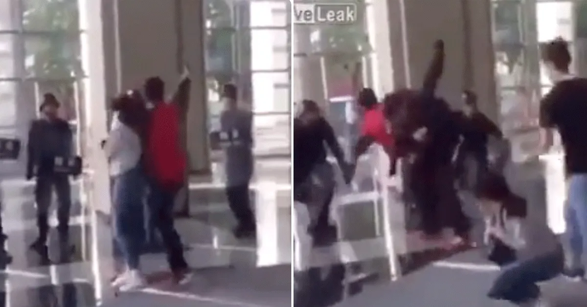 Gijzelnemer neergeslagen door MMA-vechter: 'Arrestatieteam grijpt in' (video)