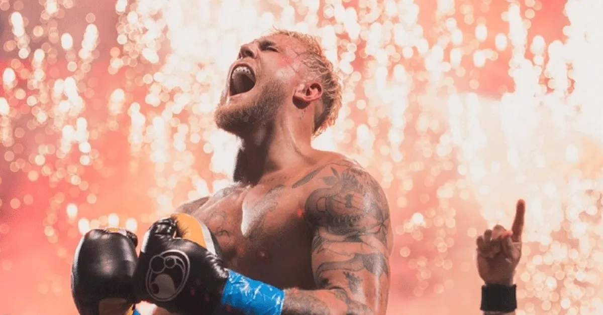 'HULP!' 10 miljoen om tegenstander Jake Paul te vinden