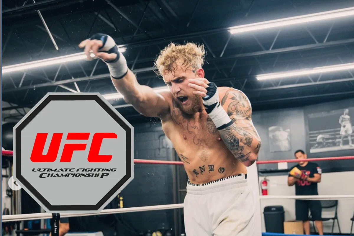 UFC-vechtbaas denkt erover Jake Paul binnen te halen: 'Het is intrigerend'