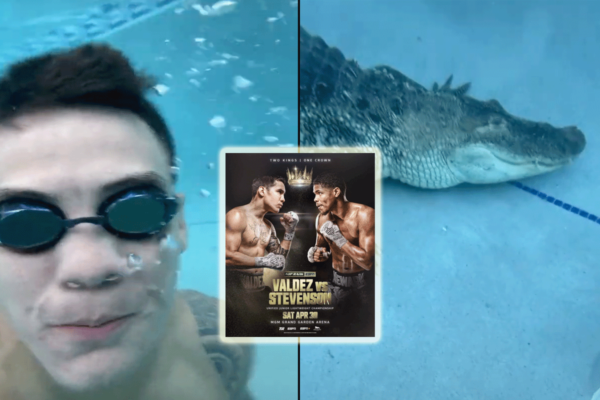 'Ballen van staal!' Bokser traint met alligator voor titelgevecht (video)