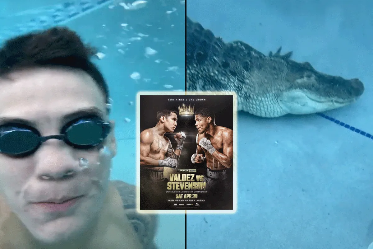 'Ballen van staal!' Bokser traint met alligator voor titelgevecht (video)