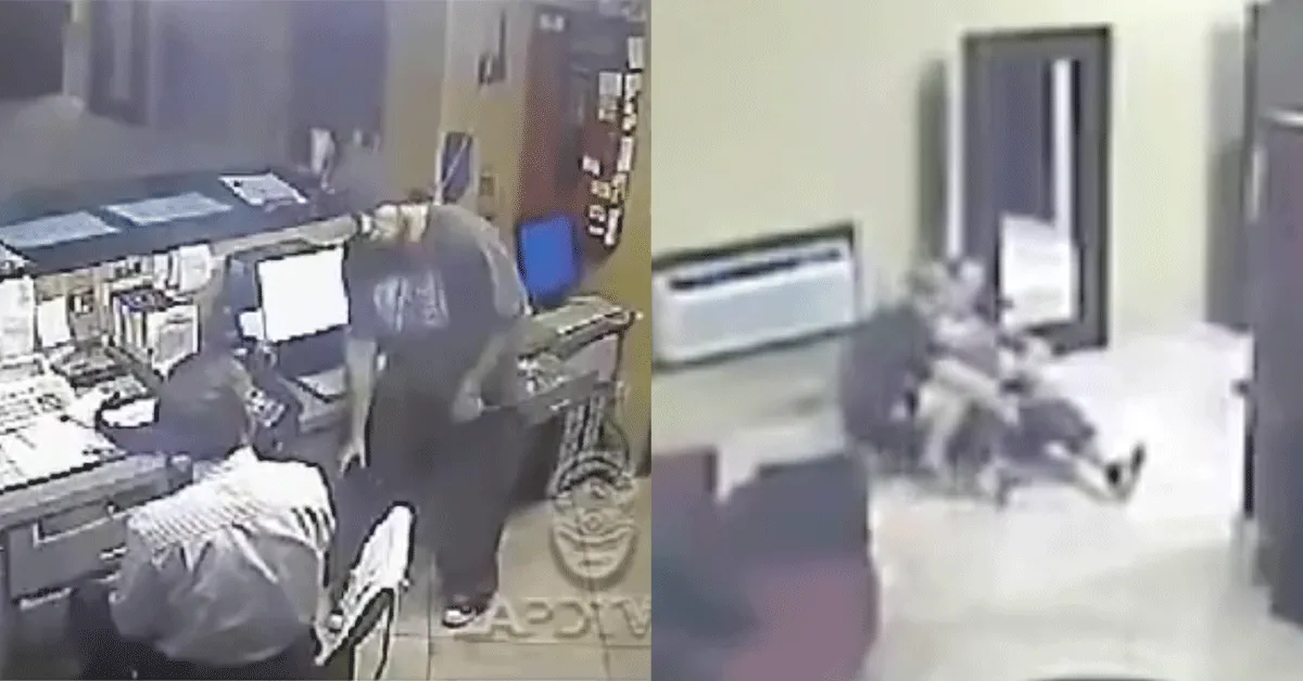 MMA-vechters pakken overvaller keihard aan in hotel (video)