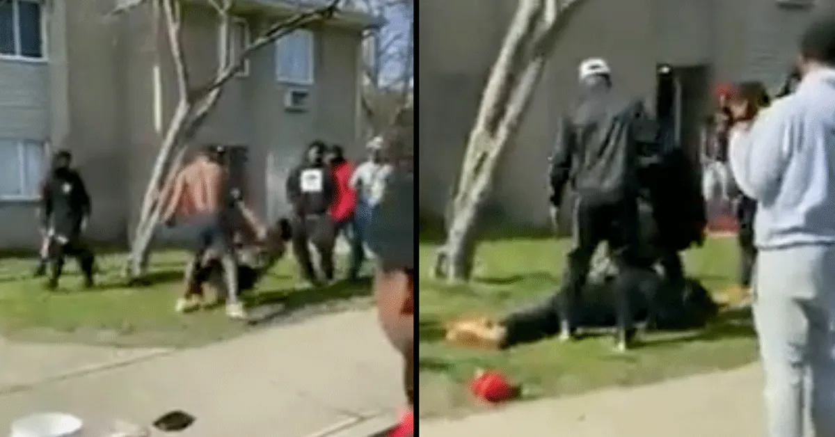 ? Straatbokser KLAPT Alfa-mannetje in slaap (video)