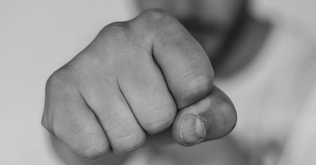 'Eén Vechtsportbond onwenselijk!' WFCA gaat strijd aan met VA