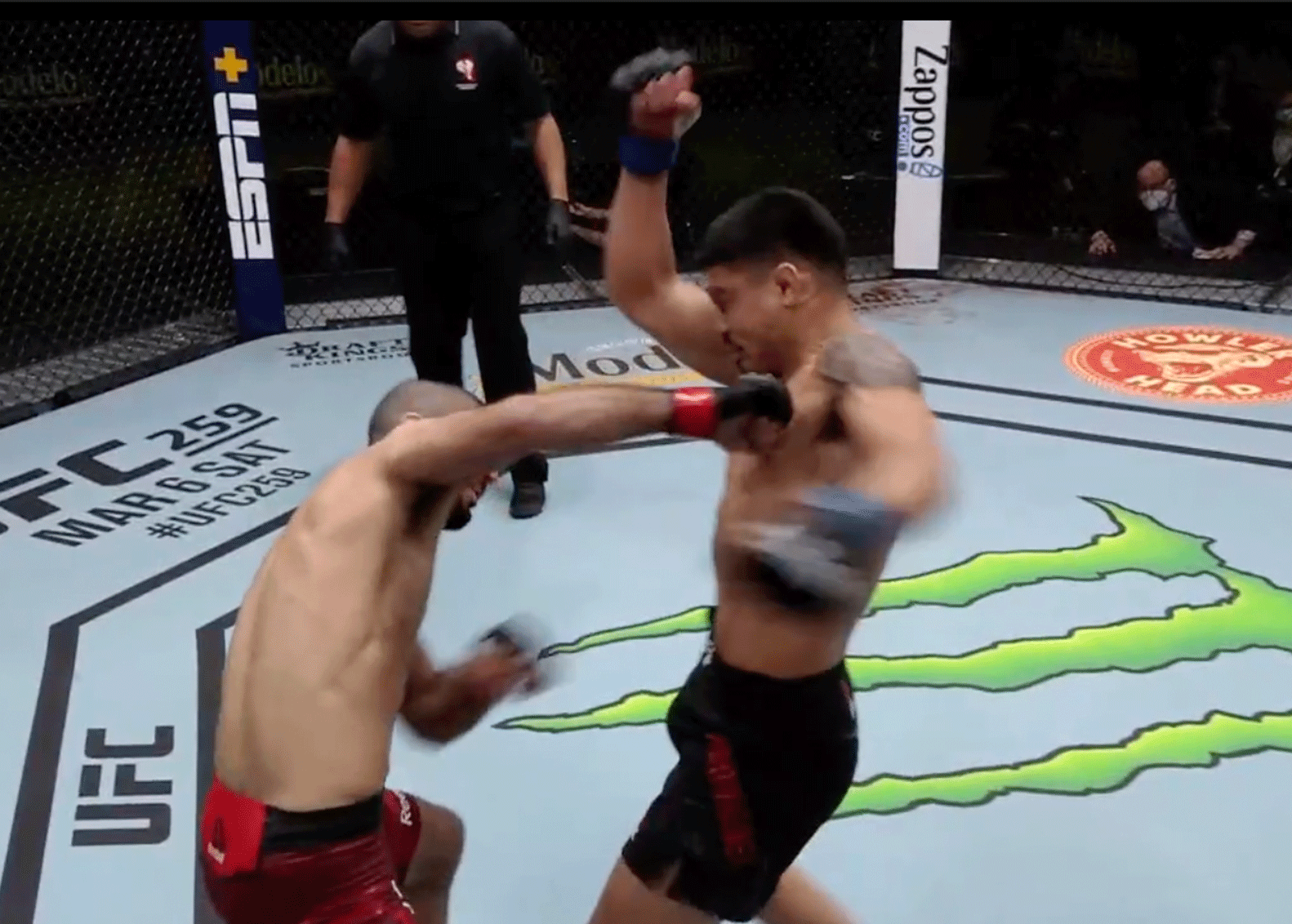 Snel UFC knock-out rentree MMA-vechter (video)