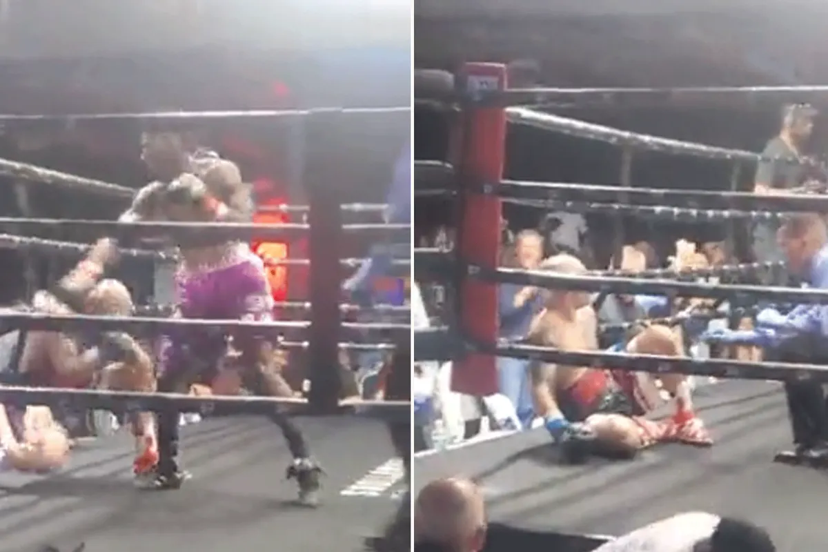 Zoon bokskampioen is knock-out koning! 'Wordt een hele grote'