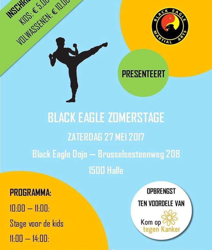 Zomerstage tegen kanker 2017 georganiseerd door Black Eagle Halle België