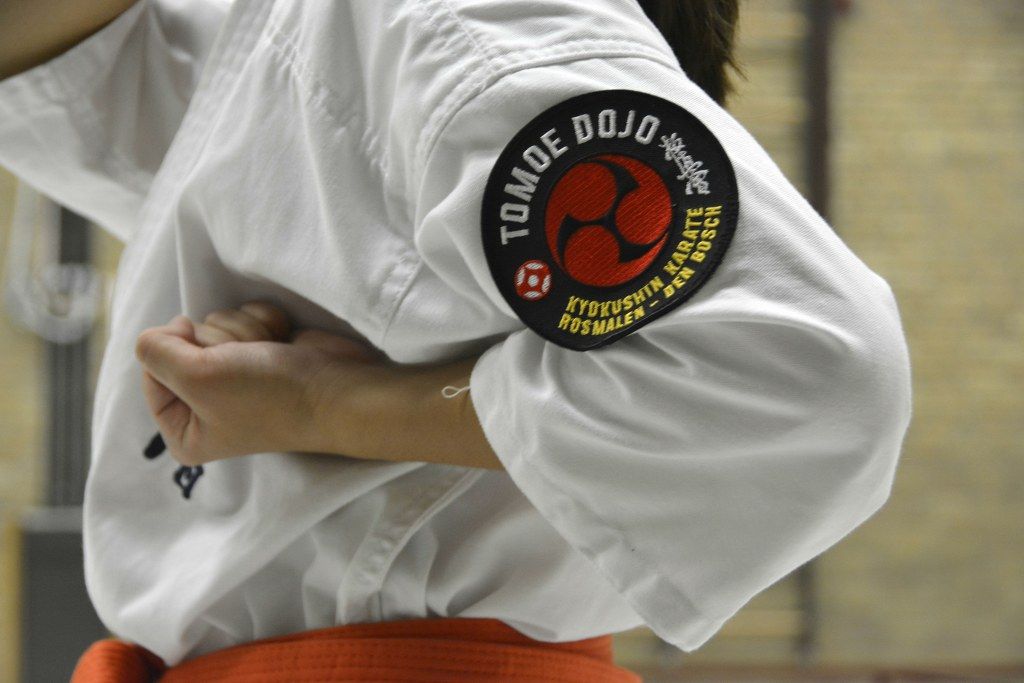 Vechtsport Info trainde mee bij Kyokushinkai Karate Tomoe Dojo