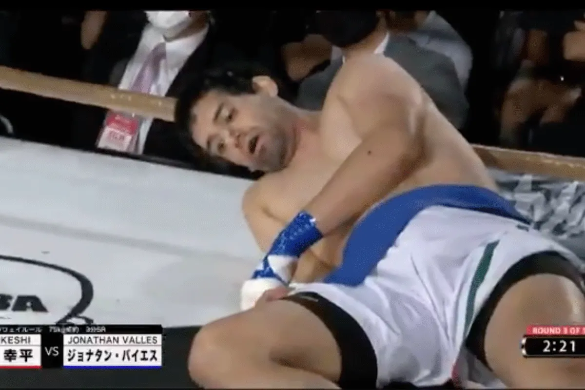 Ongenadige 'KO' eindigt heftig gevecht in de ring (video)