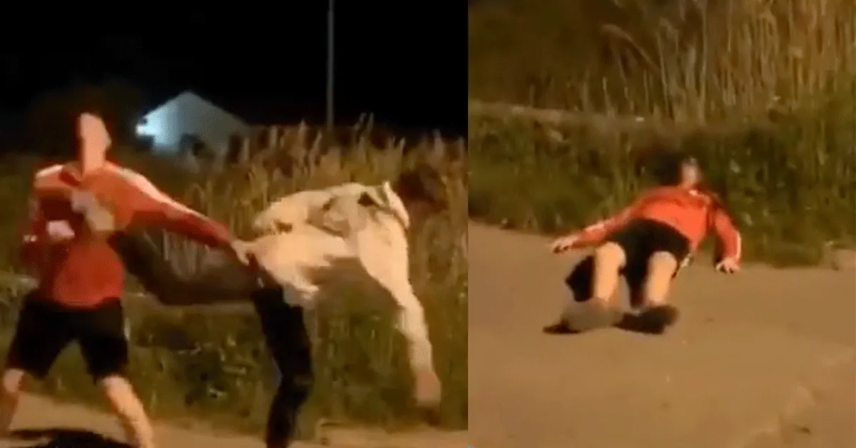 Zien! Knokker deelt kopkraker KO-kick uit (video)