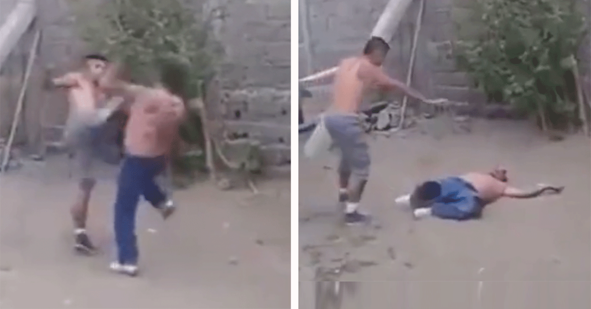 MMA-vechter slaat twee 'kungfu meesters’ knock-out (video)