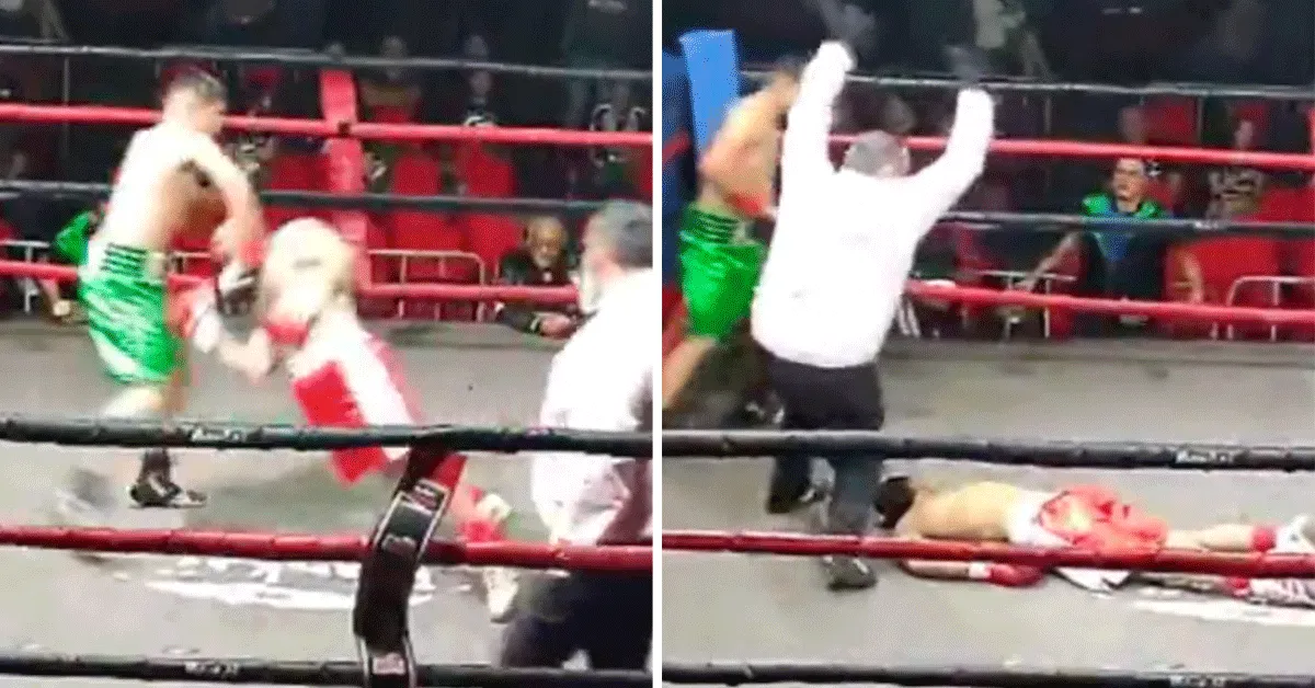 Fans helemaal gek na keiharde KO! 'Dit is boksen' (video)