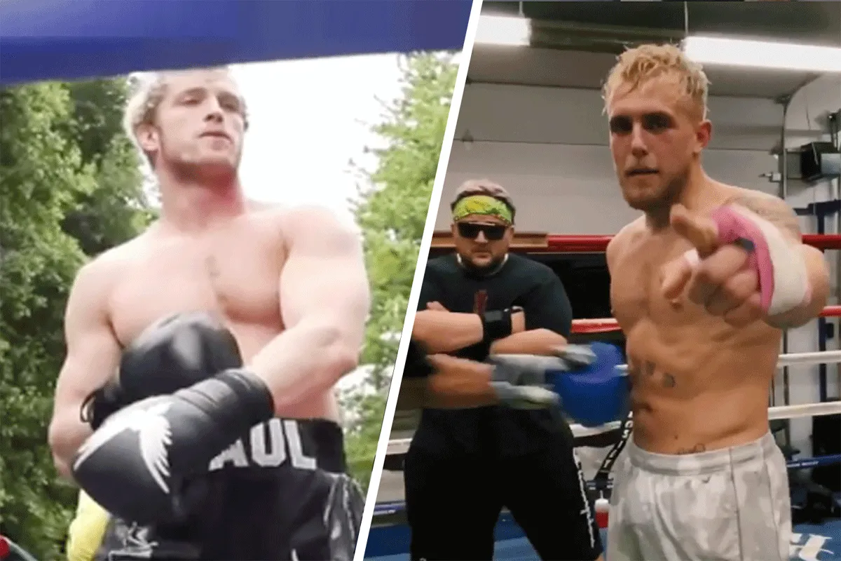 'Boksen kan Jake en Logan Paul fataal worden'