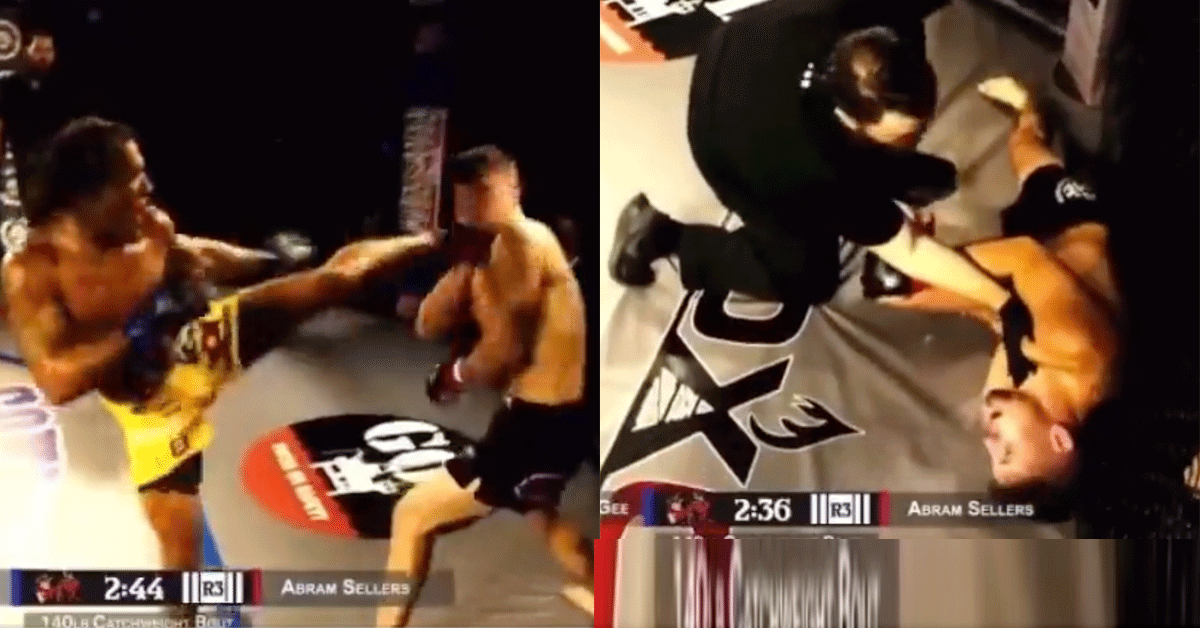 MMA-eindbaas McGhee sloopt rivaal uit elkaar | video