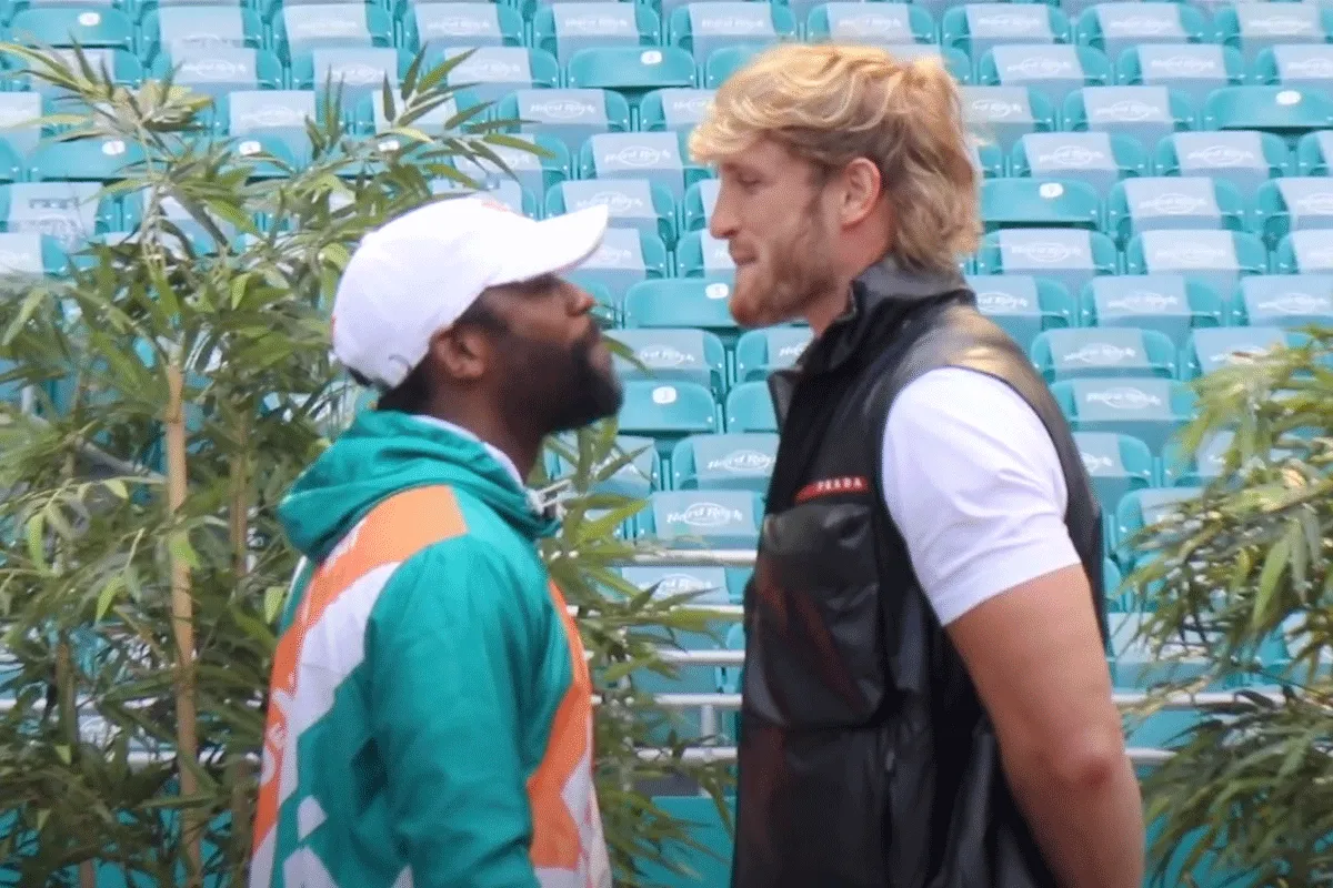 'Ik sla zijn kop eraf': Mayweather gaat YouTuber Logan 'Fall' afstraffen