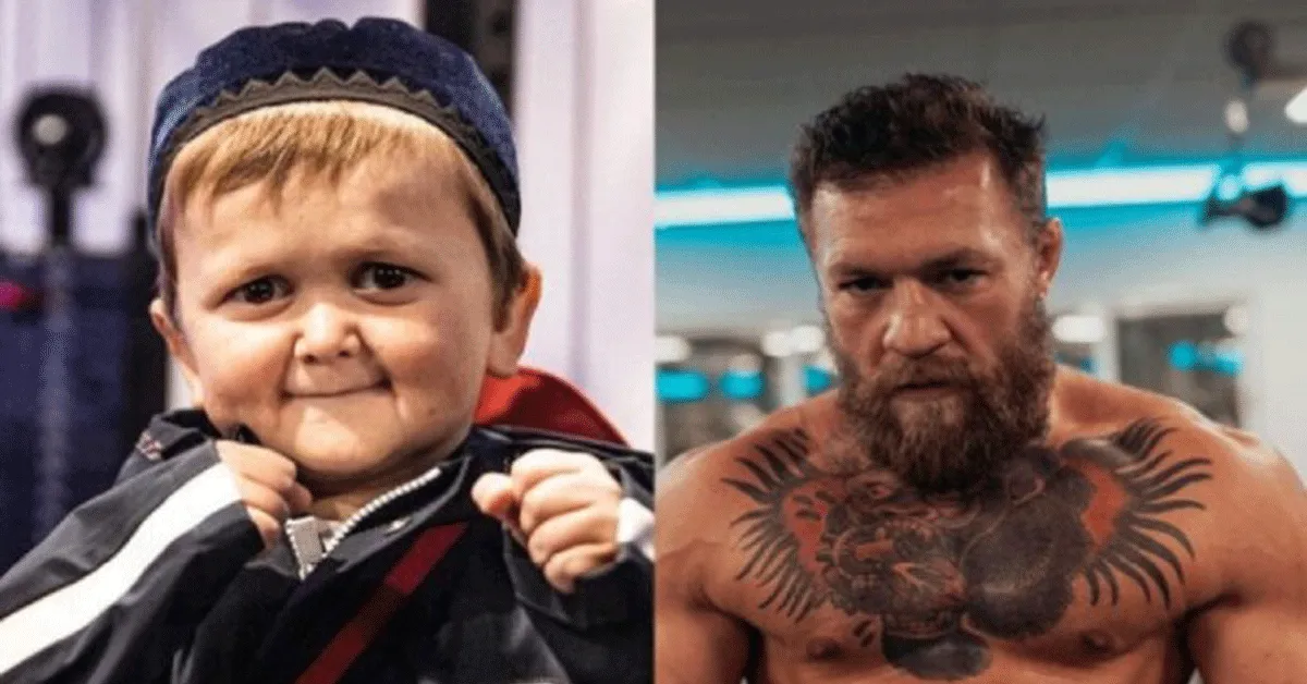 UFC-ster McGregor daagt Hasbulla uit! 'Niet te hard slaan'