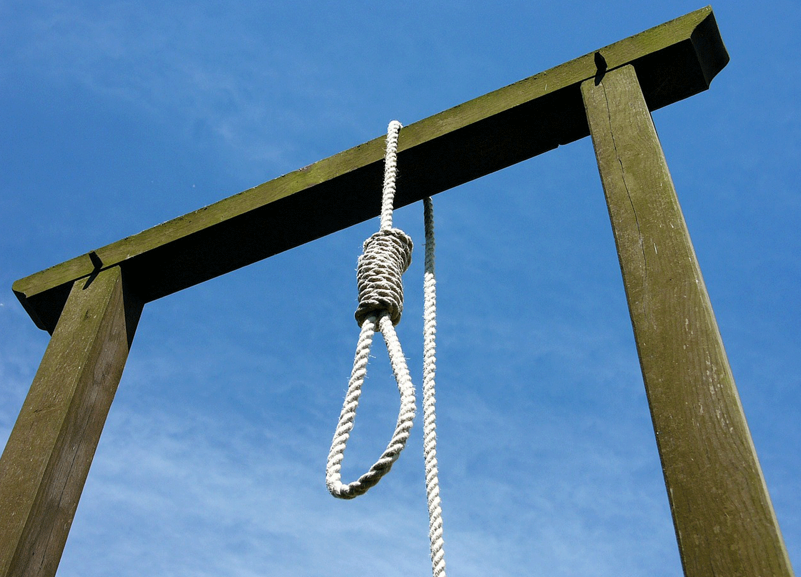 Iran executeert bekende vechtsporter door ophanging