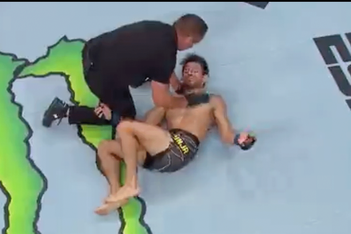 PETS! Keiharde 'KO' laat UFC'er Dos Santos neer stuiteren (video)