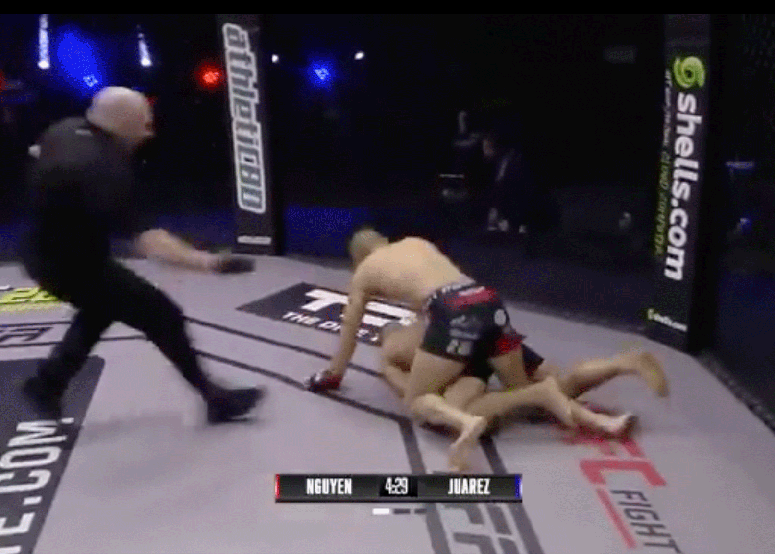 ‘Absoluut walgelijk’: MMA-vechter zwaar onder vuur na knock-out (video)