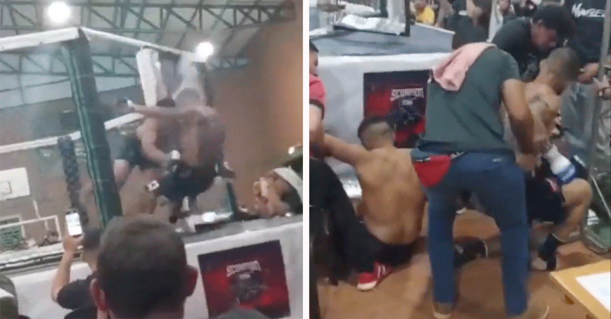 Vechters flikkeren MMA-kooi uit tijdens gevecht! 'Nooduitgang' (video)