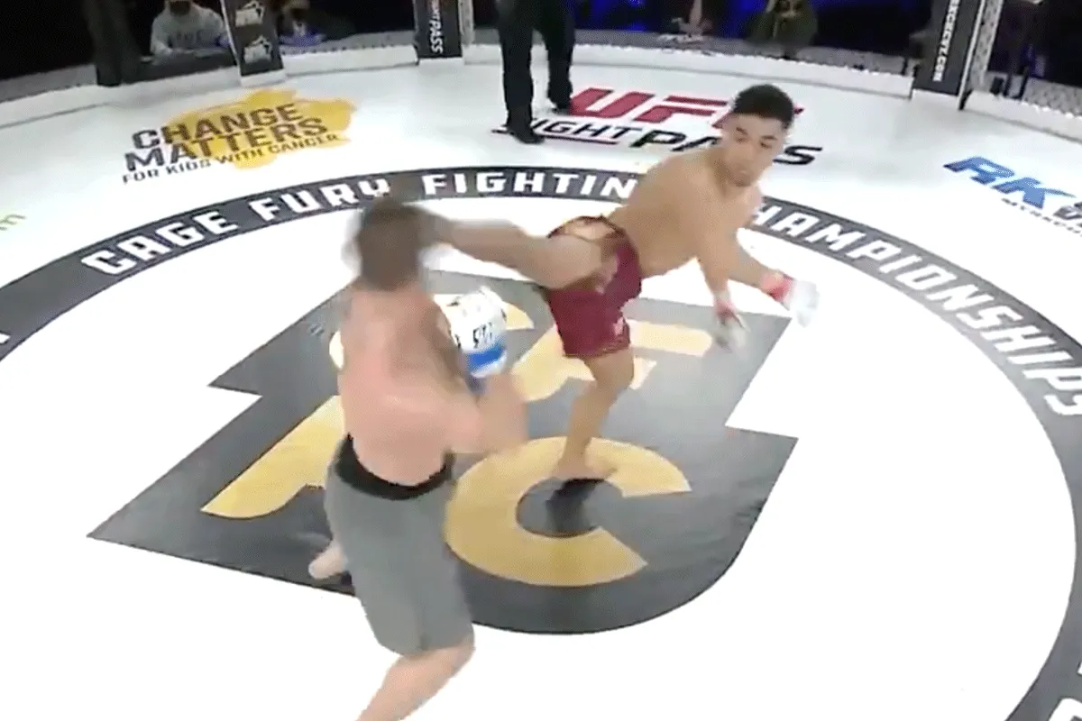 ? ? "KO": Brute spin-kick vloert vechter