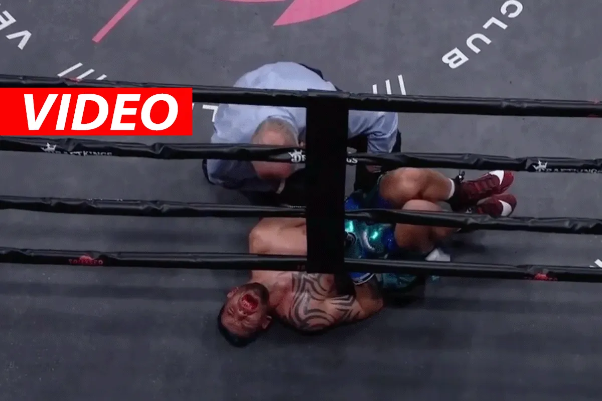 Tot janken gemept: bizar einde bokswedstrijd Prograis en Redkach