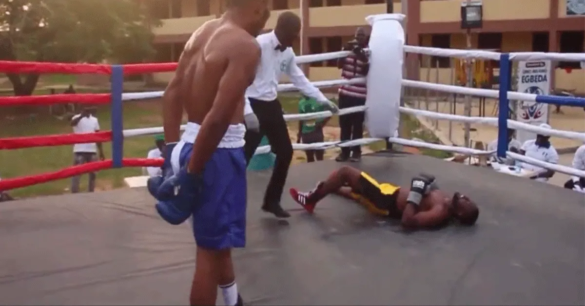 Bokser KO't zichzelf na zacht tikkie! Onderbuik gevoel (video)