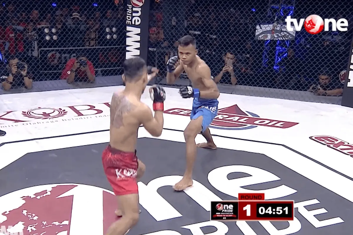 Is dit de Knock Out van het Jaar 2017?