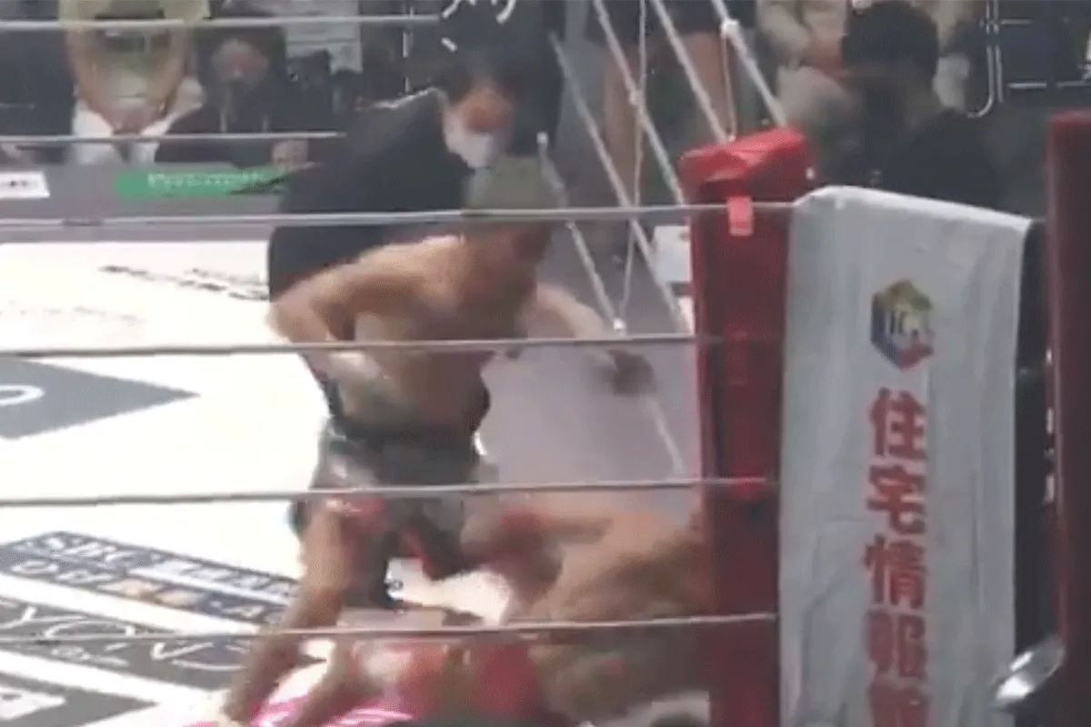 Turbo 'KO'! Oudje slaat koning knock-out aan diggelen (video)