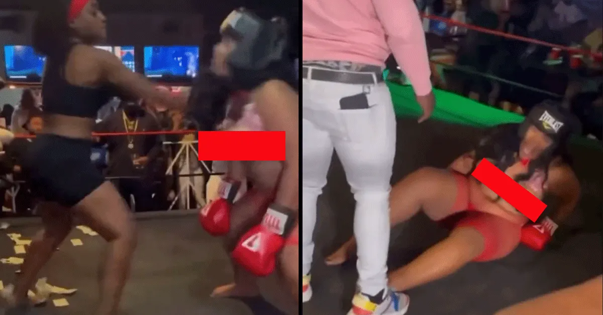 ? | Booty shaker 'KO' geslagen! Wat da boks? (video)