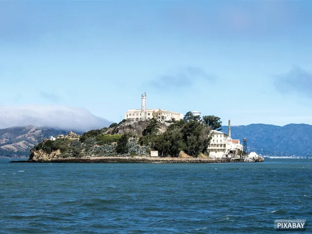 DANA WHITE: 'Eerste UFC Fight Island event eind juni'