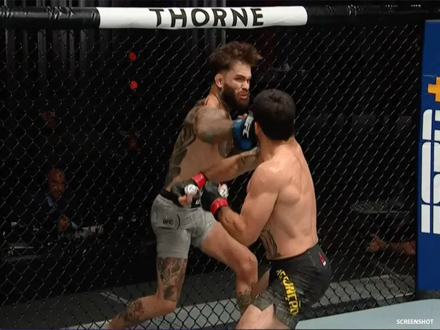 De UFC heeft groenlicht voor 3 MMA-events in Las Vegas