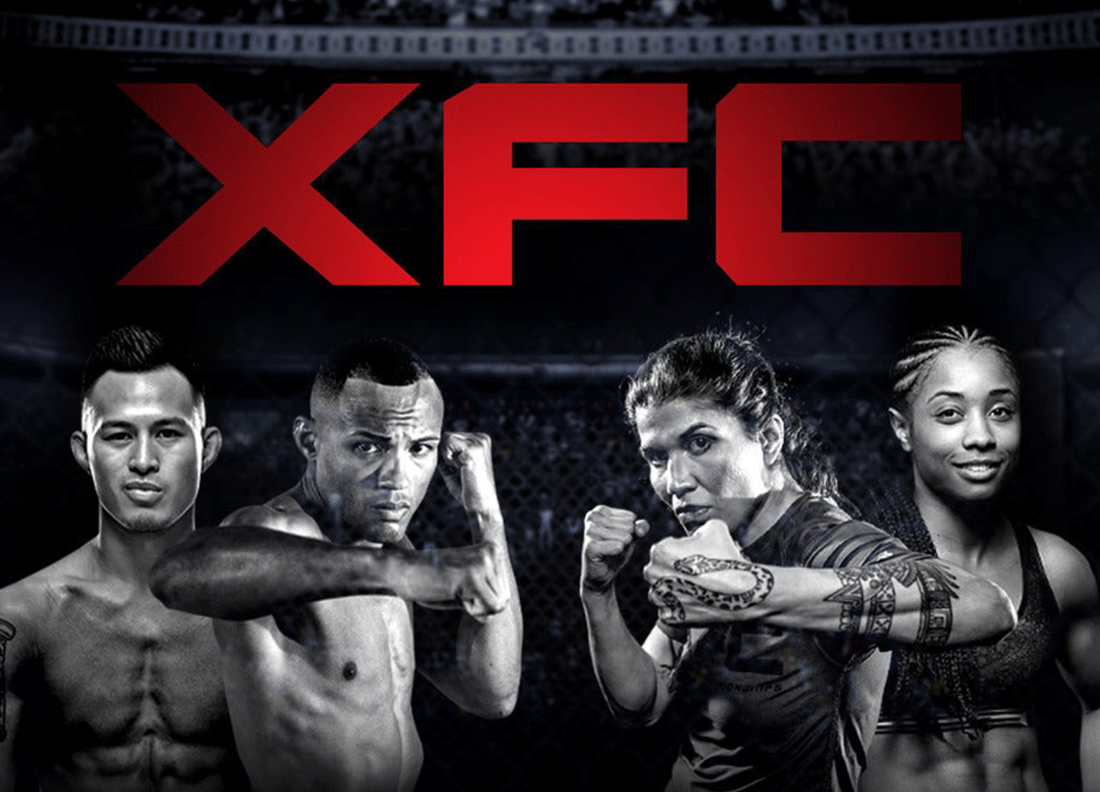 MMA-promotor XFC betaald zijn vechters via een unieke beloningsstructuur