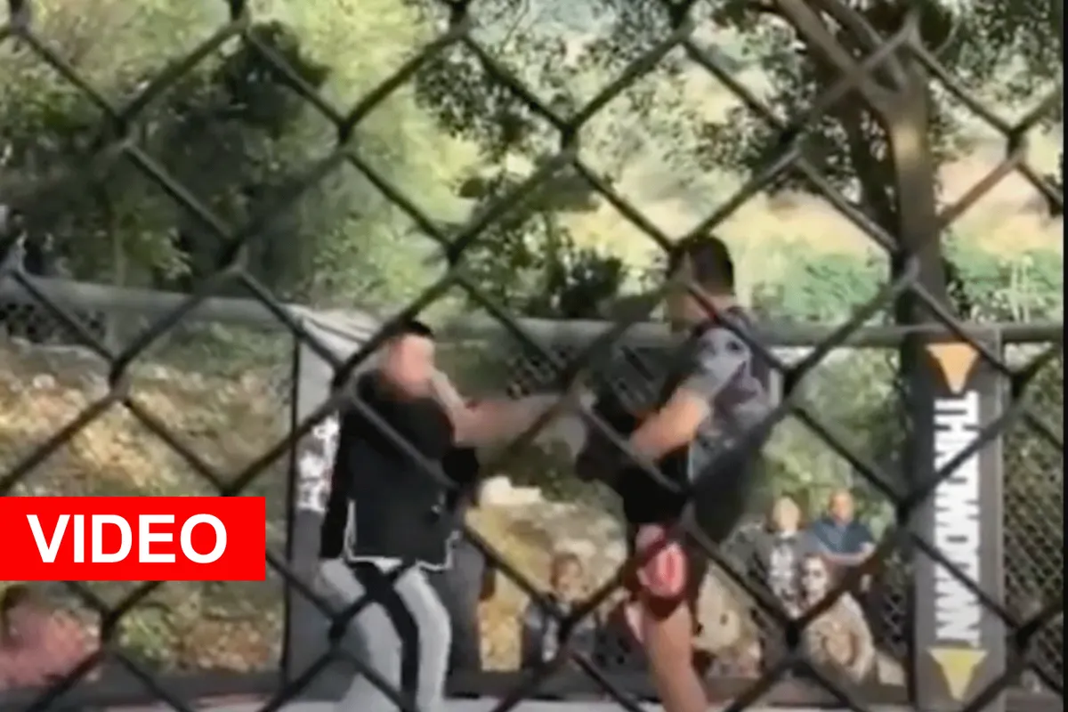 WATJE: Bekende MMA-vechter schakelt Tai Chi meester in 10 seconden uit (video)