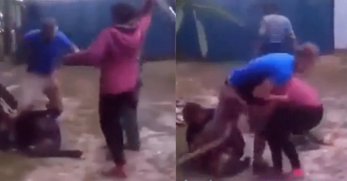 Vechtmachine sloopt 4 man in straatruzie! 'Karate icoon' (video)