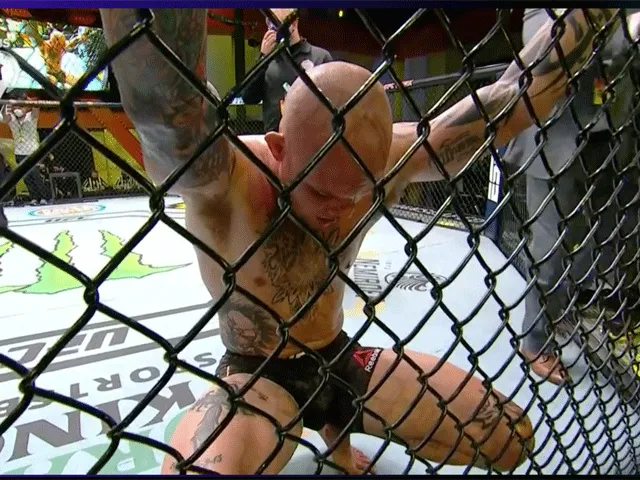 ? | BRUTE ACTIE: Bekende MMA-vechter slaat inbreker huis door