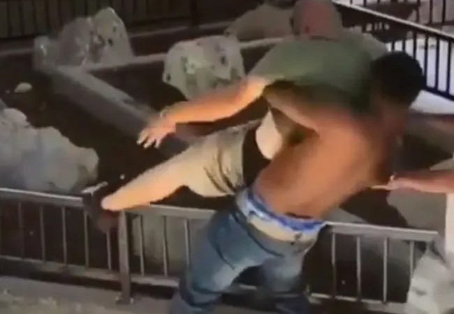 Extreem: MMA-vechter gebruikt fiets als wapen (video)