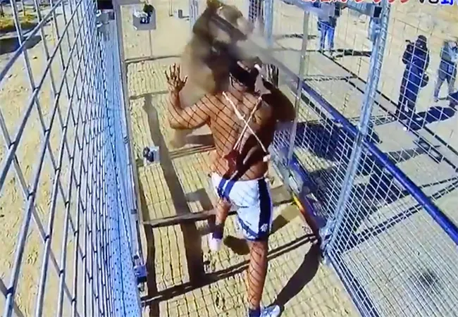 VIDEO | Bob Sapp vecht op oudejaarsavond met een beer!