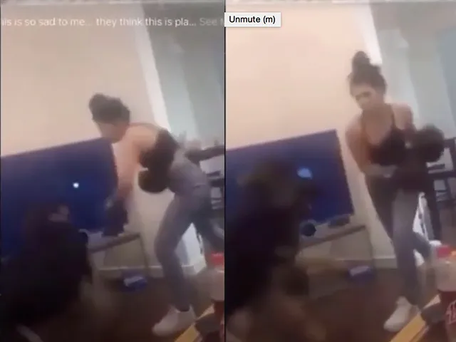 ?  | IDIOOT WIJF: Vrouw die hond als boksbal gebruikt onder vuur