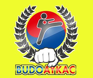 Budo Aykac vechtkunsten krijgskunsten zelfverdediging!