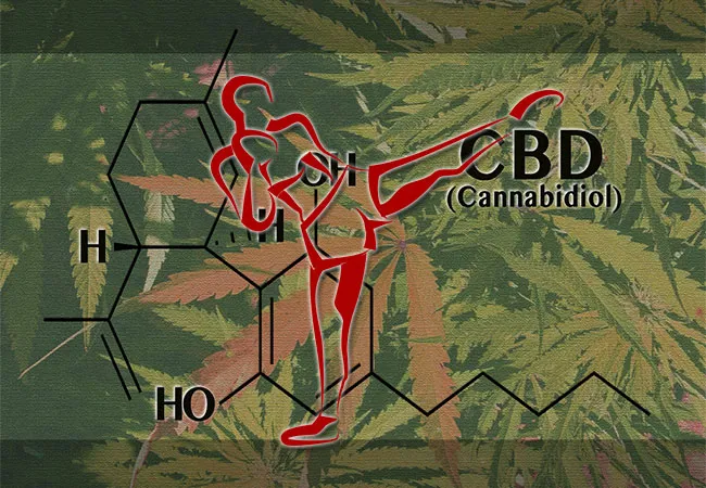 ONDERZOEK: Helft prof MMA-vechters gebruikt marihuana