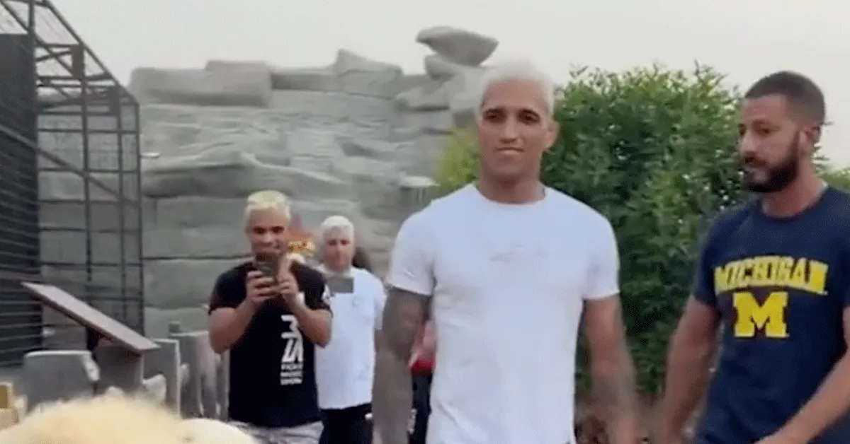 UFC-ster Oliveira schaft gevaarlijk schoothondje aan | video