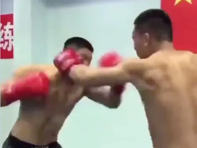 ? | NIET VOOR MIETJES: Koppenrammers beuken er flink op los