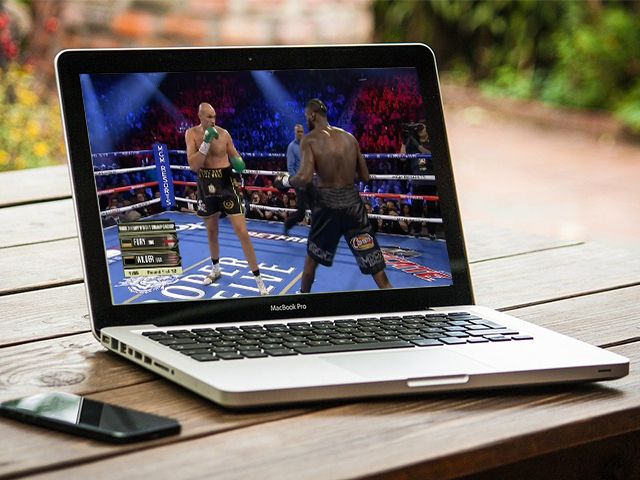Bekende vechtsport streamingdienst komt naar Nederland