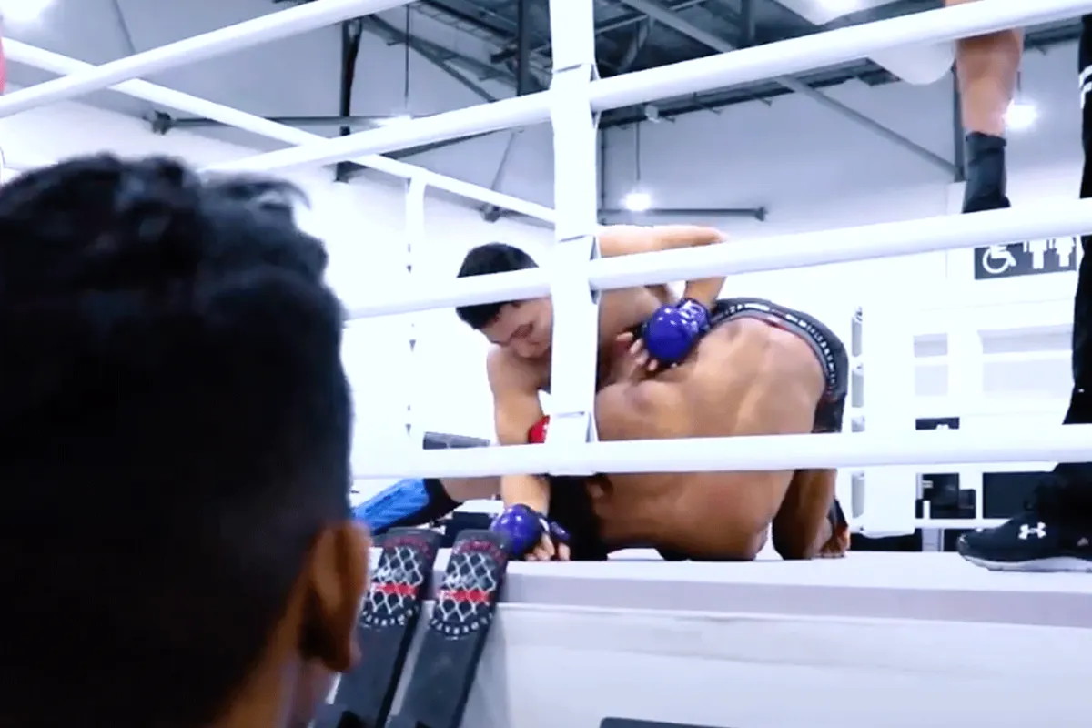 Nieuwe stijl MMA-vechten van Nederlandse hand