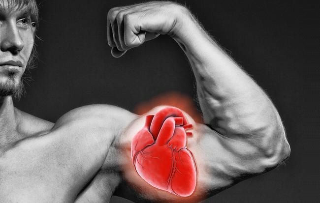 Grote biceps zijn goed voor je hart