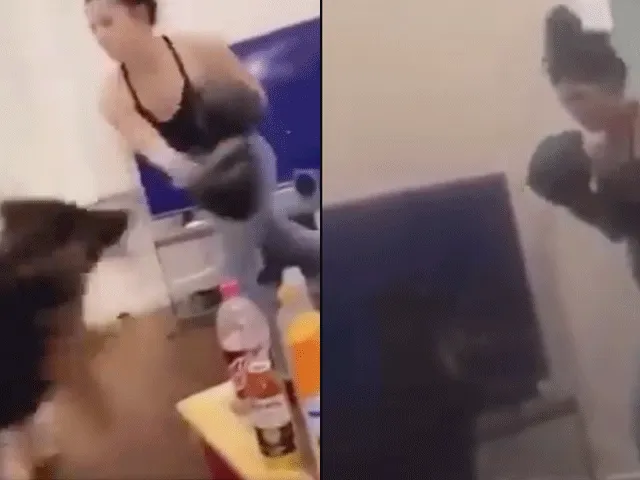 SCHANDALIG: Vrouw die hond als boksbal gebruikt vrijuit
