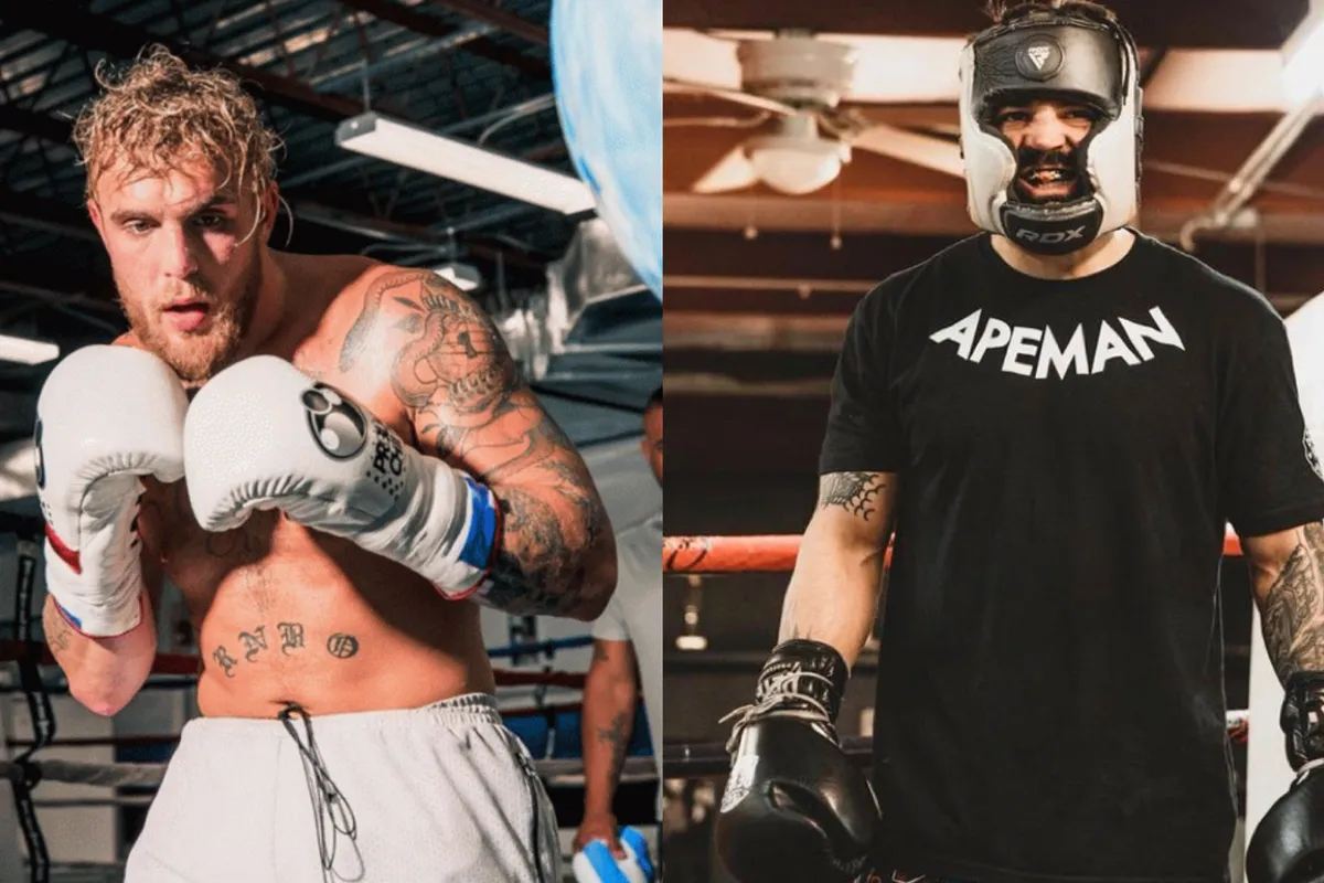 Beruchte vechter back-up voor Jake Paul vs Tommy Fury gevecht