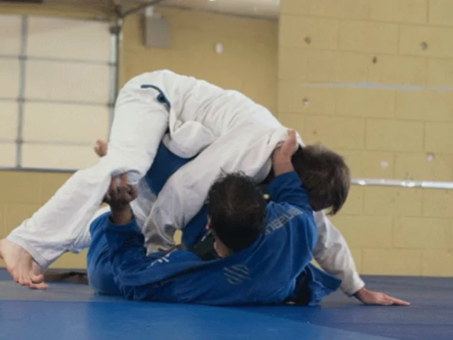 Japanners blijven op alle niveaus 'wereldleiders' in judo