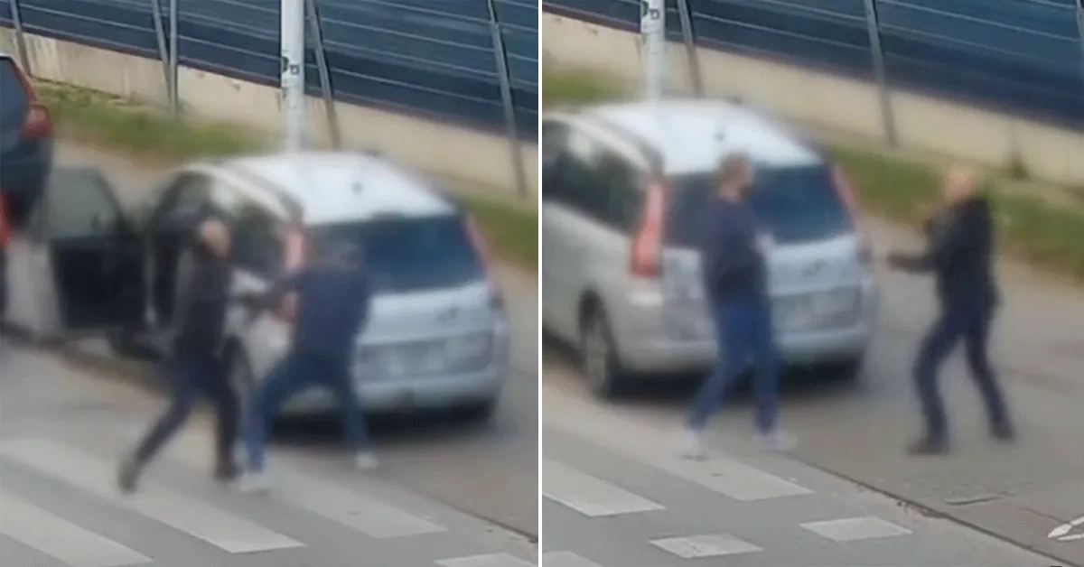 Knokkende Polen! Verkeersruzie loopt uit de hand (video)